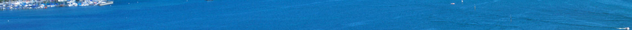 img4.jpg